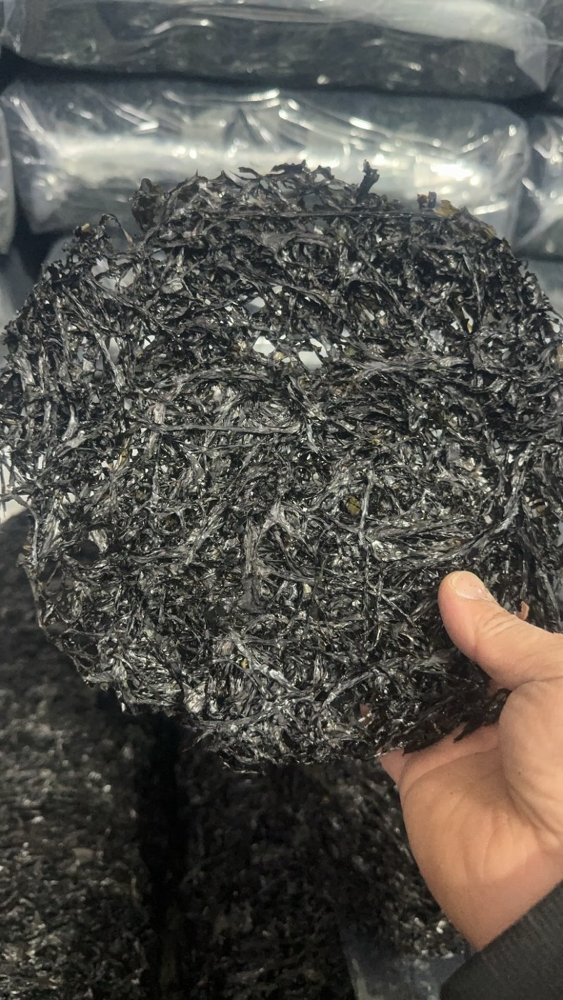 广东紫菜大量供应诚信批发品质保证欢迎老板来电洽谈