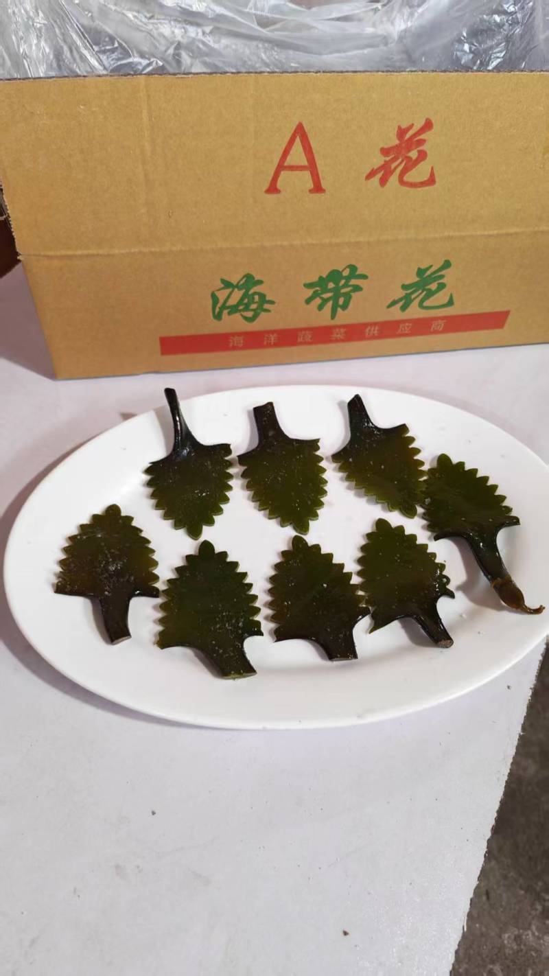 精品盐渍海带花A级B级盐渍海带花源头工厂供全国批发零售