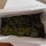 精品盐渍海带花A级B级盐渍海带花源头工厂供全国批发零售