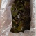 精品盐渍海带花A级B级盐渍海带花源头工厂供全国批发零售