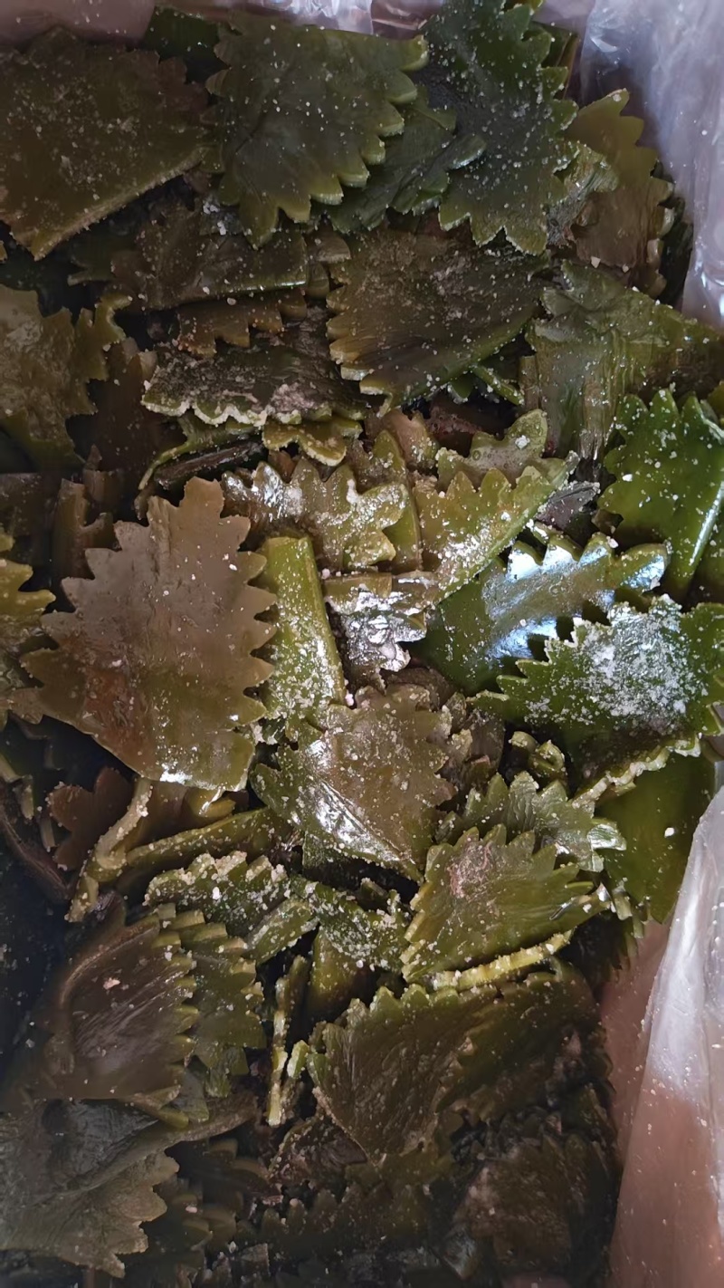 精品盐渍海带花A级B级盐渍海带花源头工厂供全国批发零售