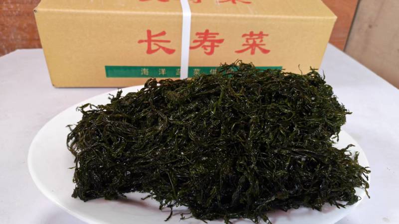 精品长寿菜马尾藻品质保证源头工厂发货供全国批发零售