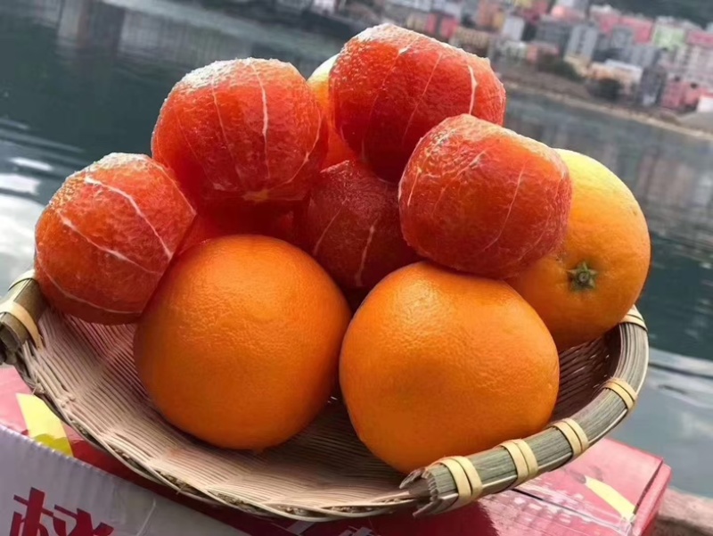 中华血橙/湖北宜昌秭归县产区直发/货源充足/大量有货