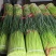 【红帽蒜薹】净杆60公分蒜苔万亩基地货源充足产地直供