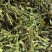 青辣椒干，干辣椒，对接全国批发商，保质保量，欢迎联系