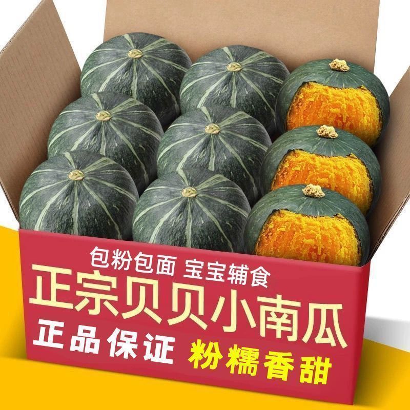 广东湛江贝贝南瓜产地直供大量有货质量保证一手货源全国发货