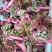 香椿芽大量批发订购啦！大优惠好质量