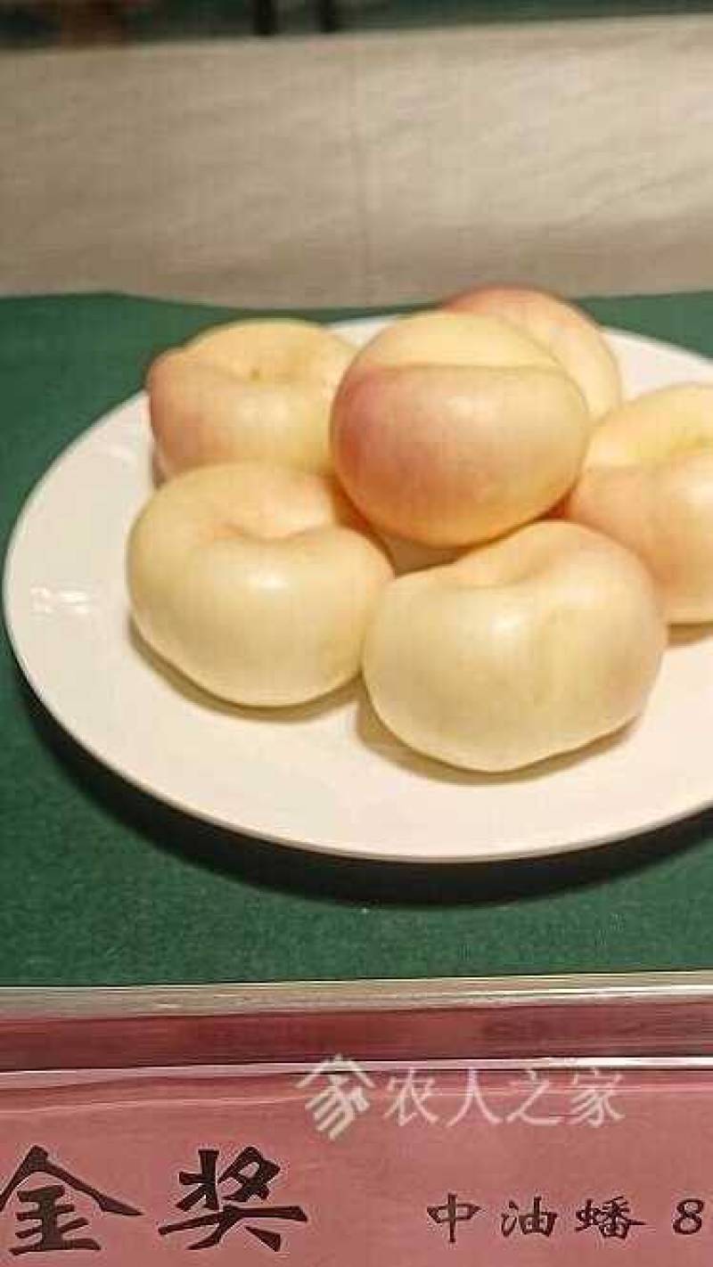 白奶油蟠桃，36-3，油蟠8号，脆甜爽口奶香味，欢迎订购