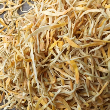 祁东黄花菜