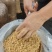 现货现发益生菌混合发酵豆腐渣水分30以下牛羊猪饲料