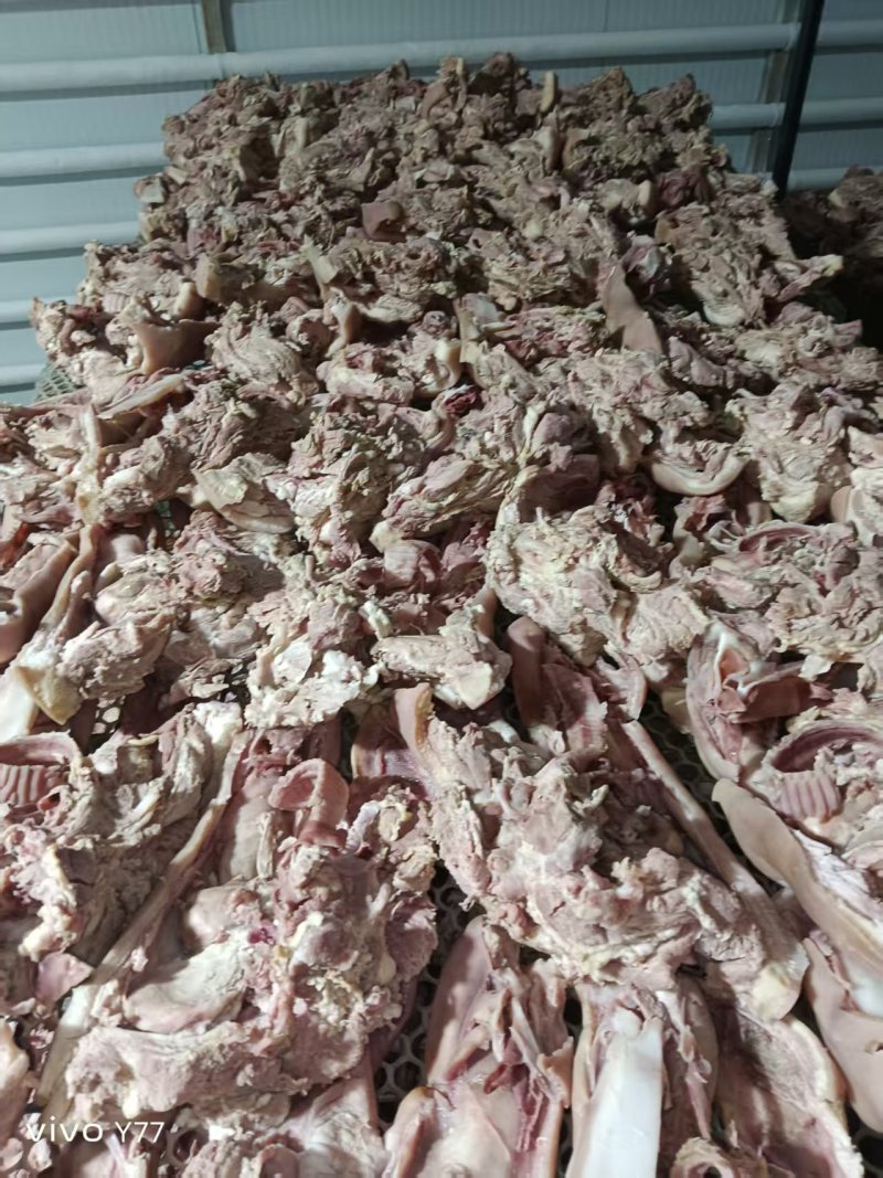 半成品猪头肉