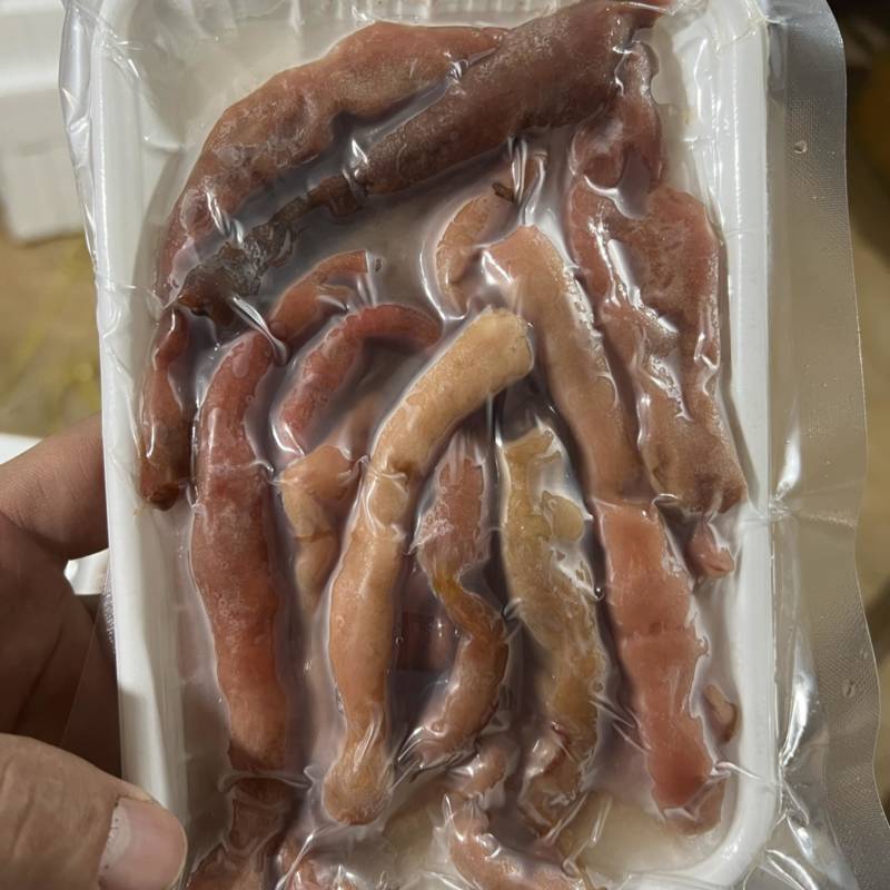 去双头莱州大海肠海肠捞饭
