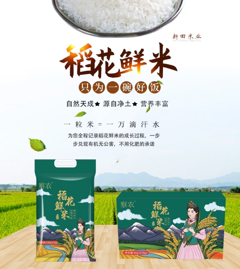 新疆察农稻花香有机大米