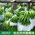 云南高山香蕉现摘现发软糯香甜产地直供电商货市场
