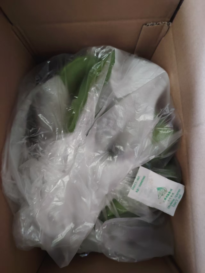 云南高山香蕉现摘现发软糯香甜产地直供电商货市场