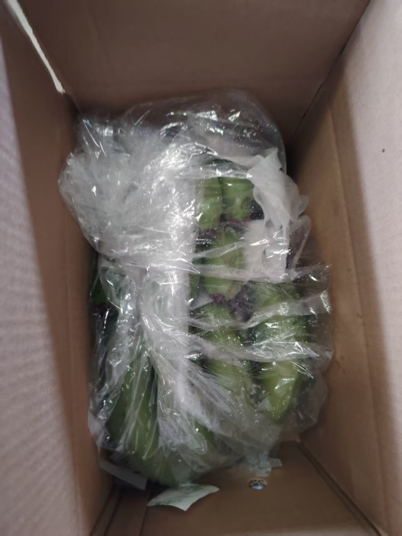 云南高山香蕉现摘现发软糯香甜产地直供电商货市场