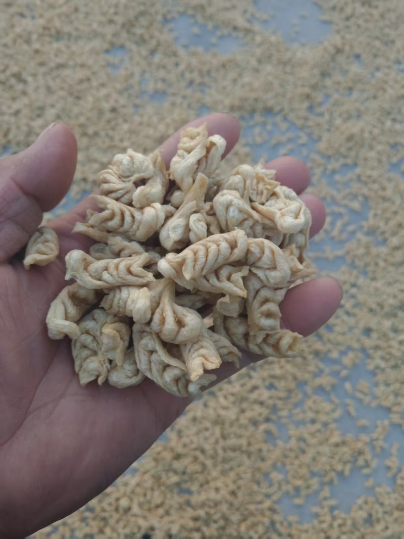 豆制品，豆耳，毛毛虫