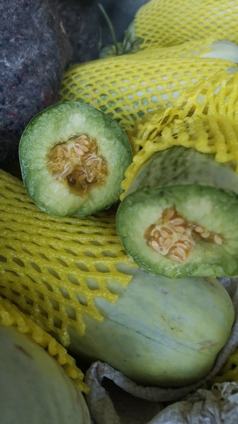 花美人甜瓜