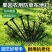 新型生态防草布果树除草地布透水果园树耐用遮盖草布地膜厂家直销