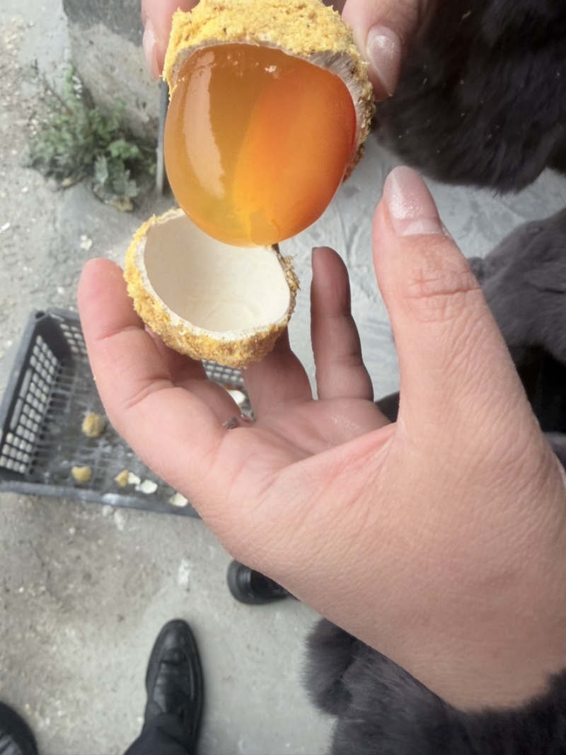 批发精品变蛋量大优惠