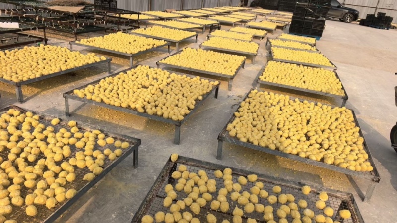 批发精品变蛋量大优惠