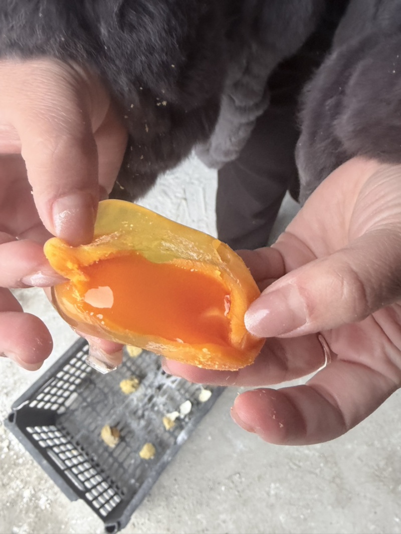 批发精品变蛋量大优惠