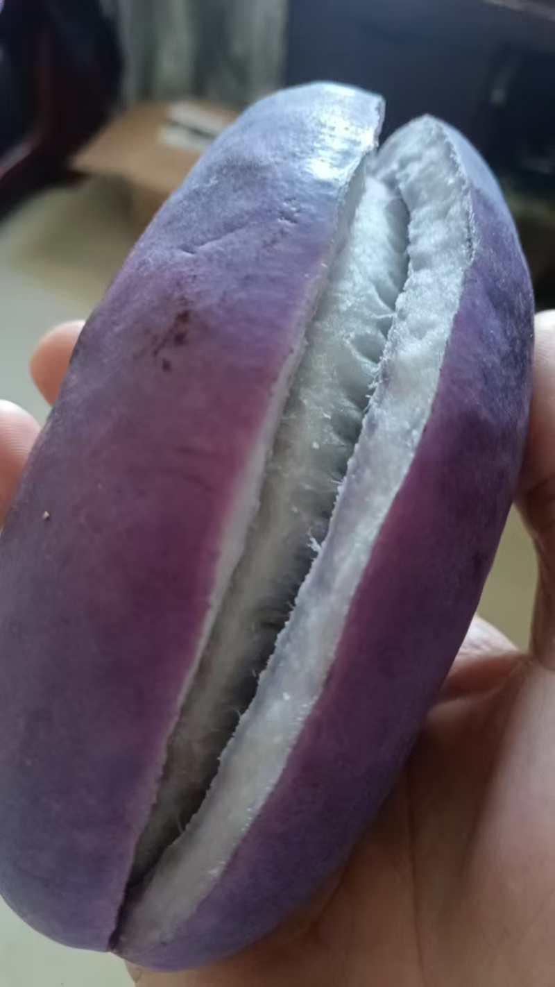 八月瓜