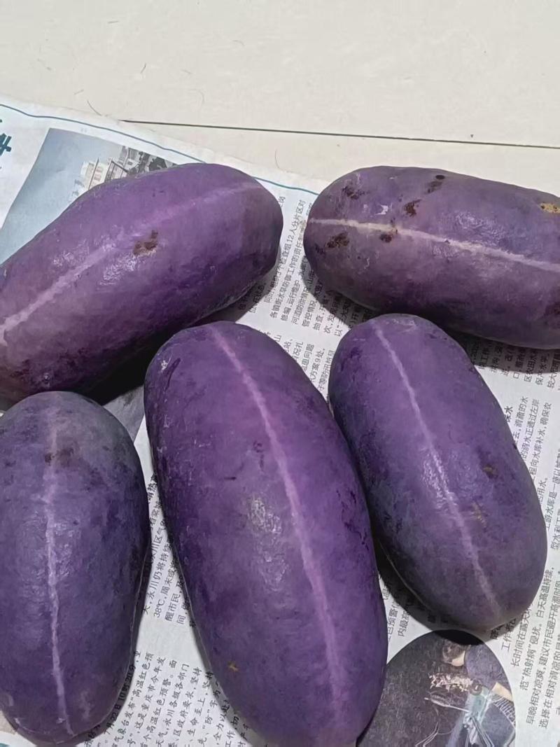八月瓜