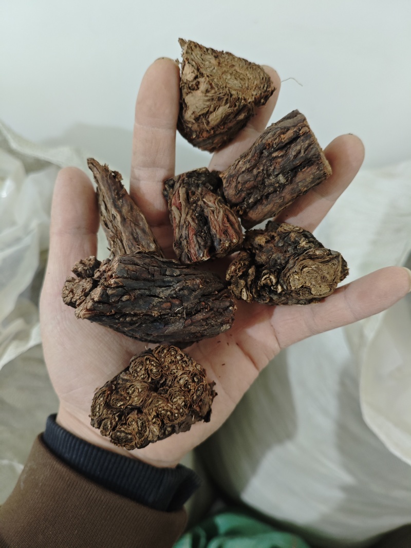 野生紫花丹参。甘肃岷县货。干货，纯正野生货