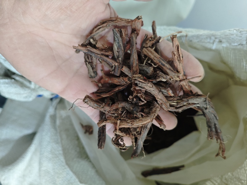野生紫花丹参。甘肃岷县货。干货，纯正野生货