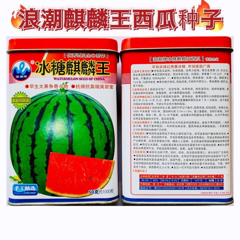 原装正品浪潮冰糖麒麟王50克约700粒