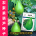 菜葫芦种子耐寒早熟四季农家庭院种植可做水瓢食用蔬菜种子