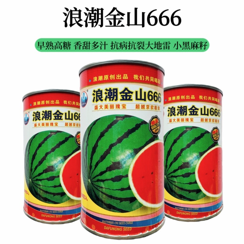 浪潮精品特大超甜抗病耐运输西瓜种子