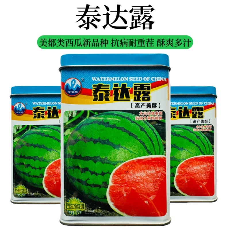 浪潮精品特大超甜抗病耐运输西瓜种子