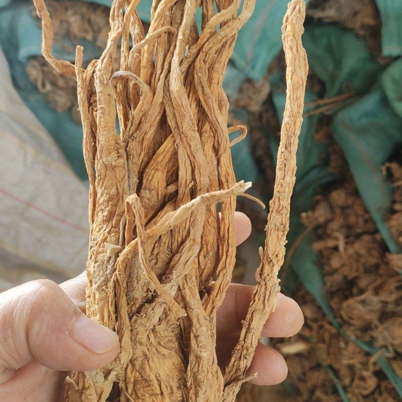 独活水洗个子