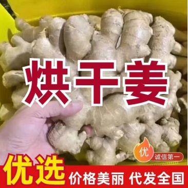 水洗姜/风干姜/泥姜/姜巴产地直供/保质保量/全国发货