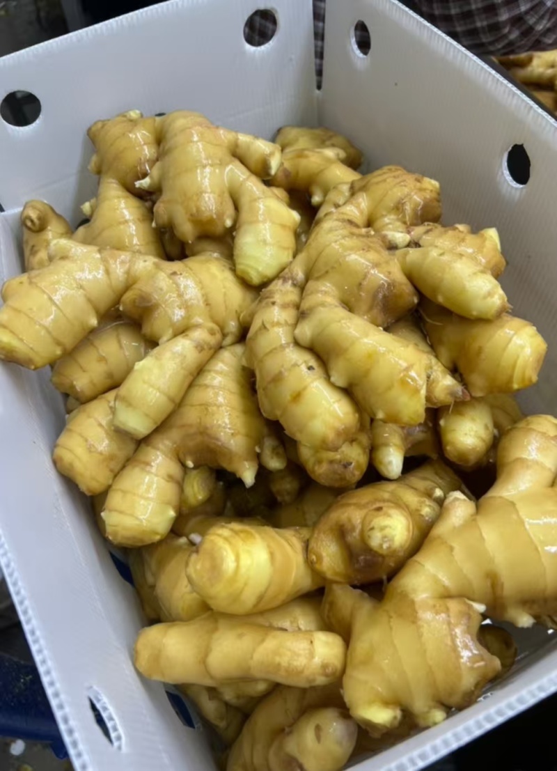 出口贸易/供货/市场/电商（水洗姜/风干姜姜巴）全国代发