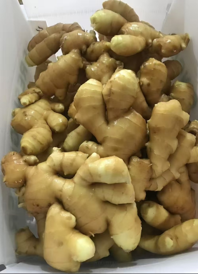 出口贸易/供货/市场/电商（水洗姜/风干姜姜巴）全国代发