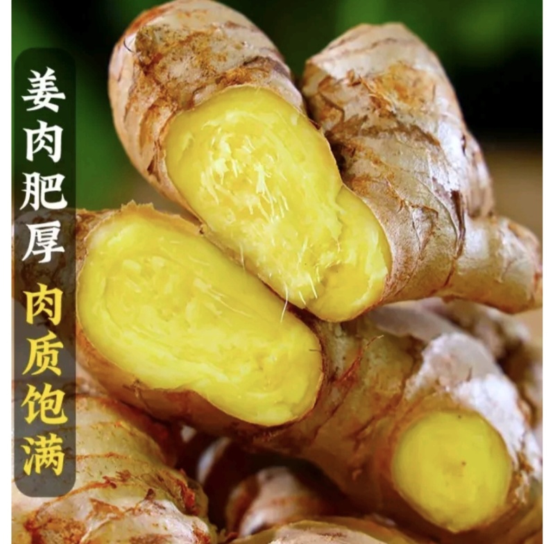 主营（市场，出口，电商，加工厂）云南小黄姜红土地小姜二黄