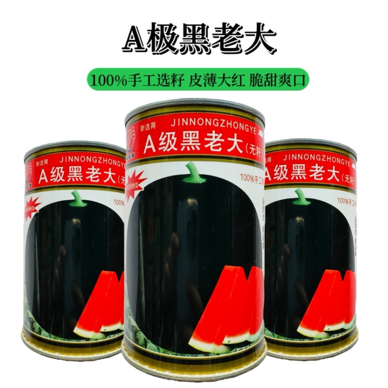 正宗新疆黑皮红肉无子瓜种子