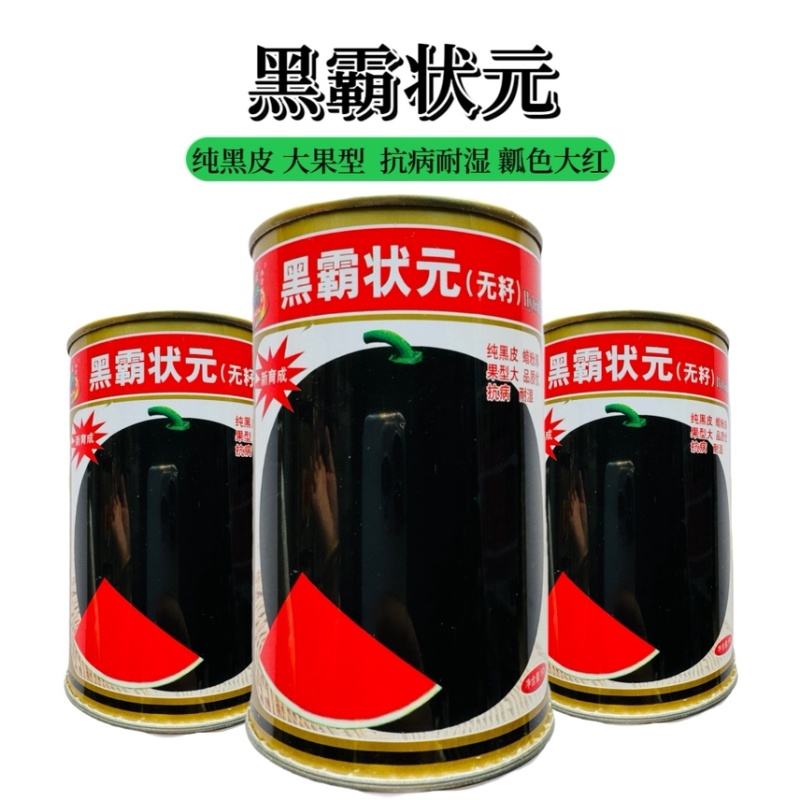 正宗新疆黑皮红肉无子瓜种子