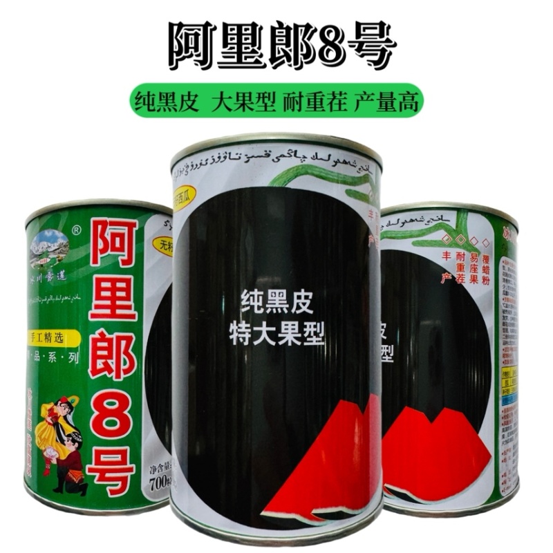 正宗新疆黑皮红肉无子瓜种子