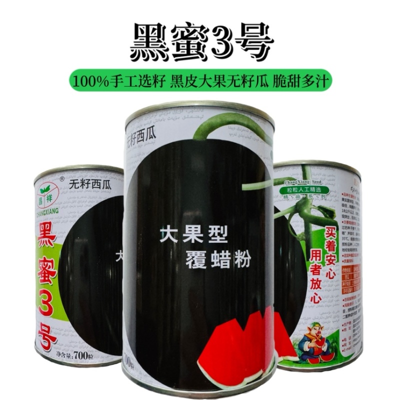 正宗新疆黑皮红肉无子瓜种子