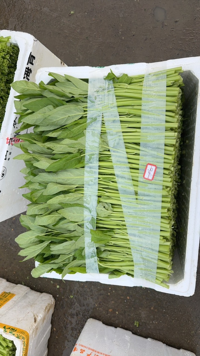 水空心菜