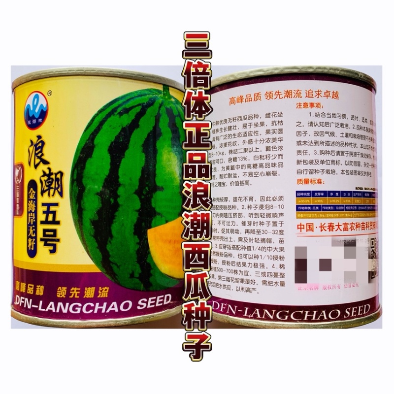 黑皮黄肉无子西瓜种子