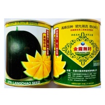 黑皮黄肉无子西瓜种子
