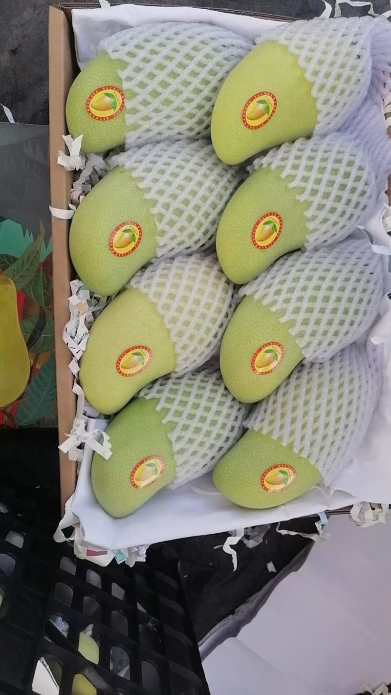 海南金煌芒产地直发货源充足价格优惠可视频看货欢迎致电