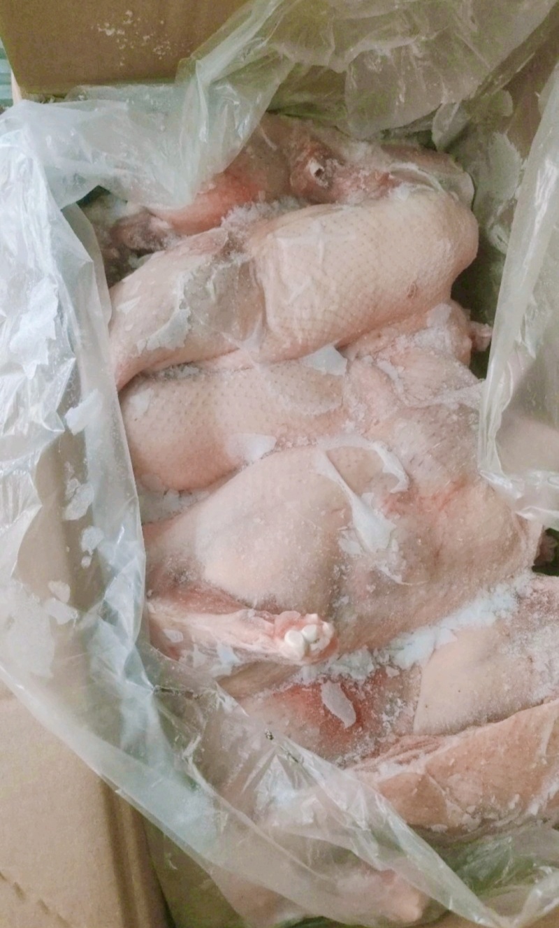 半片鸭价格美丽货源充足规格齐全欢迎咨询来电优