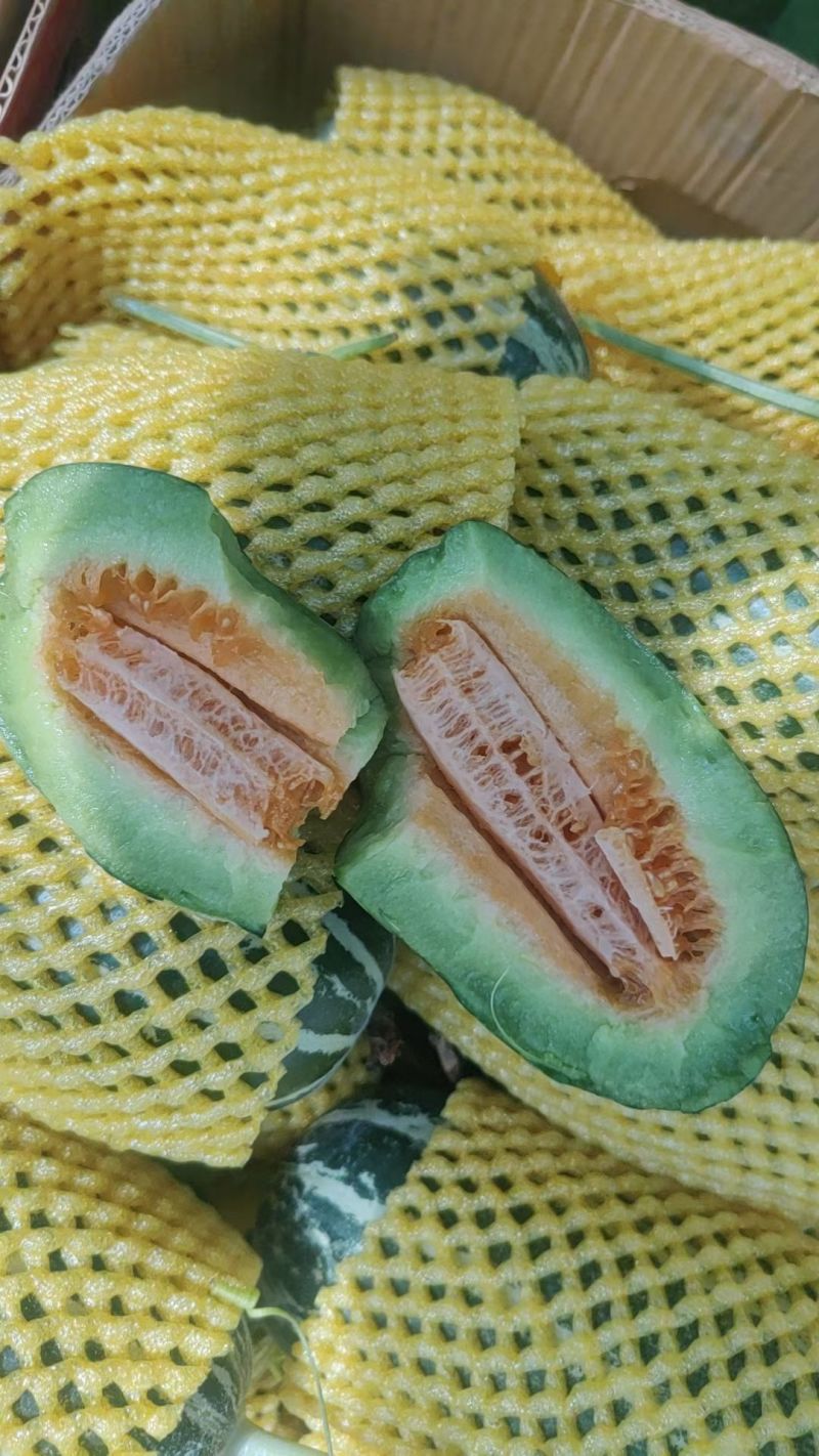 博洋九号甜瓜已熟有现货
