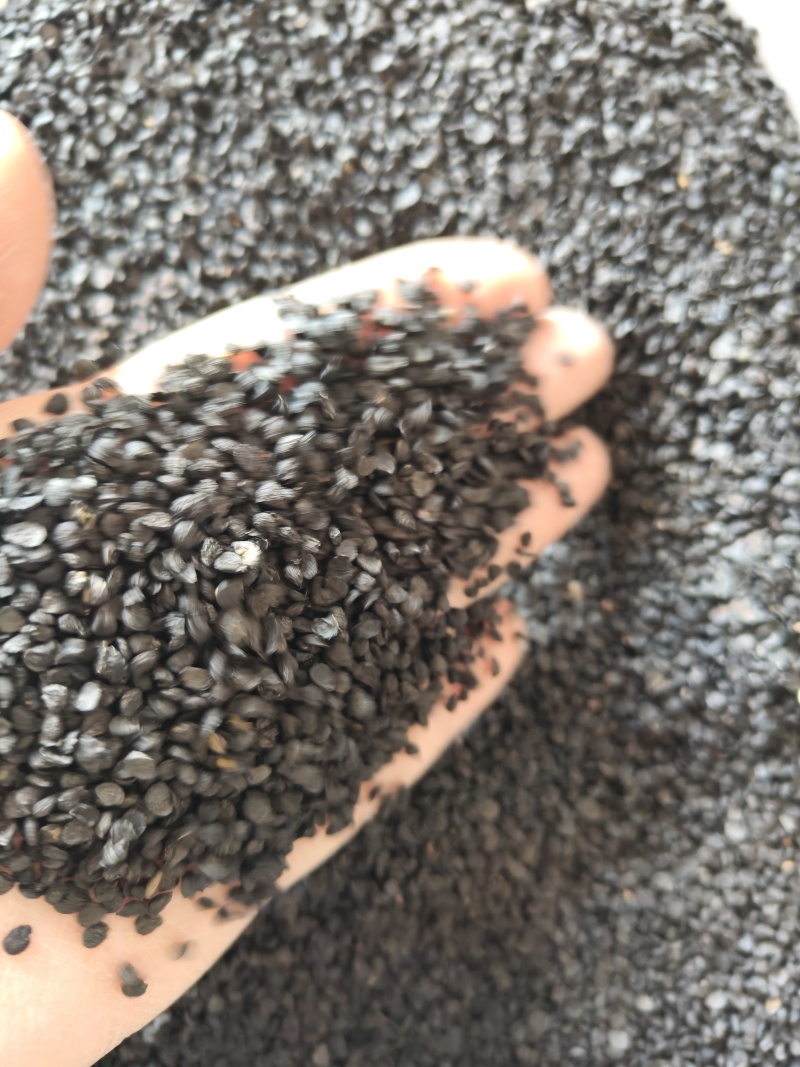 韭菜籽韭菜子祥泰药材栈中药材批发零售实物拍摄量多从优